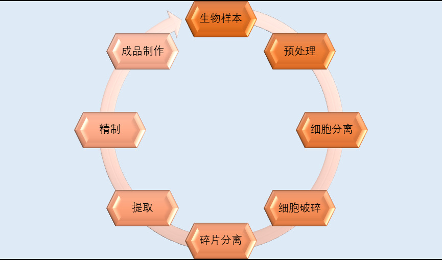 2020-2026年(nián)中國(guó)生(shēng)物(wù)科(kē)學儀器(qì)行(xíng)業(yè)投資前景專項報(bào)告(圖1)